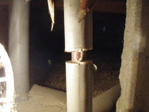 水道管と水道管の断熱材の間に蟻道が！