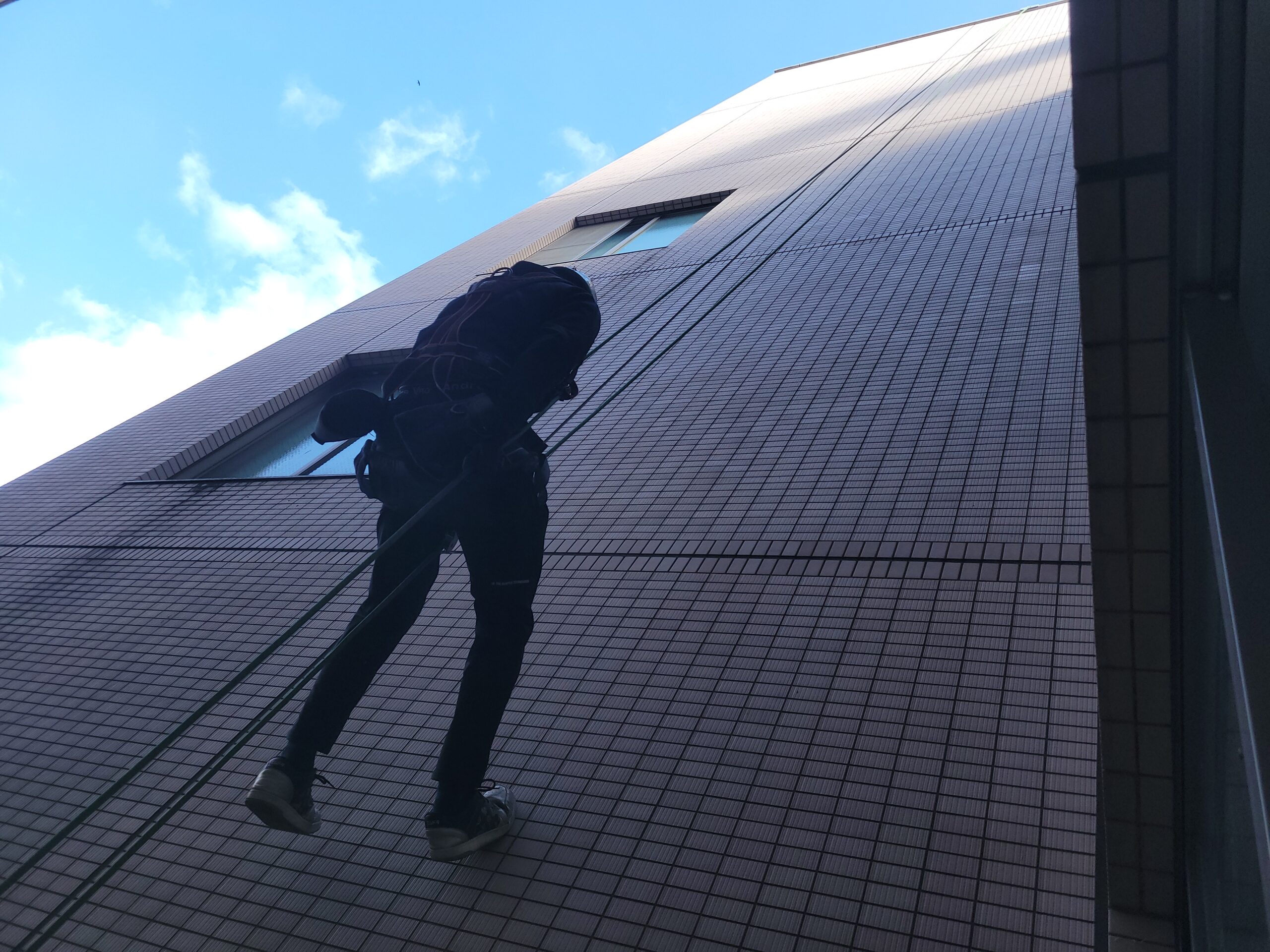 プロの鳩駆除業者による高所作業